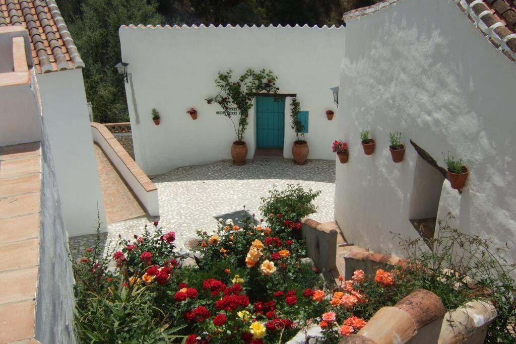 Casa Rosa, Con Encanto Y Piscina Climatizada Frigiliana Eksteriør billede